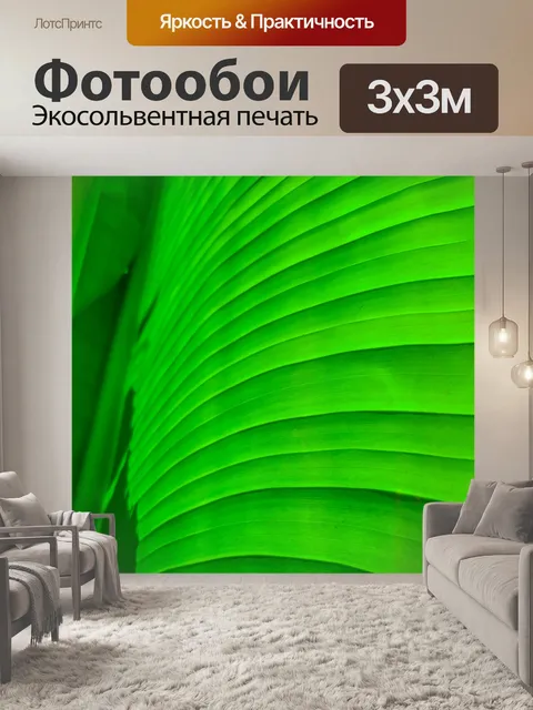 Фотообои Деталь листьев пальмы