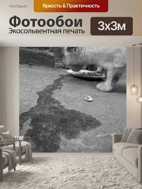 Фотообои Кошка