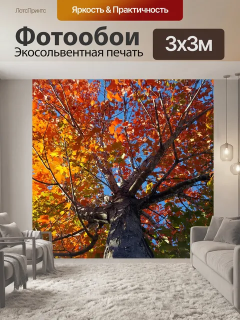 Фотообои Падение