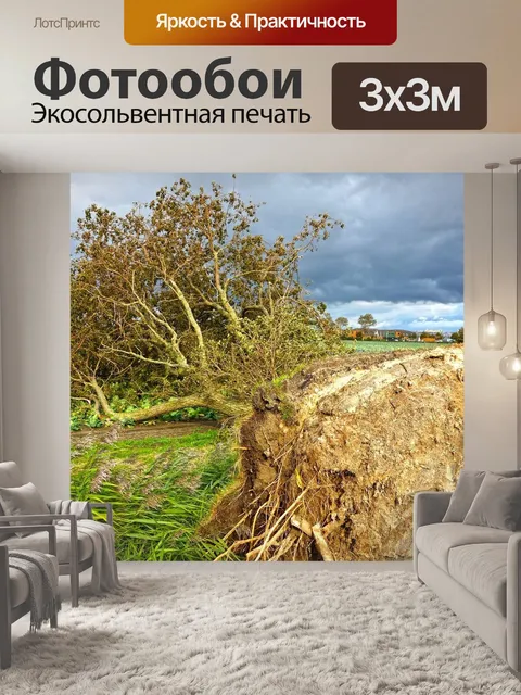 Фотообои Северное море