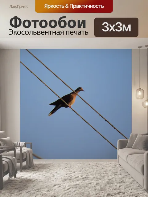 Фотообои Природа