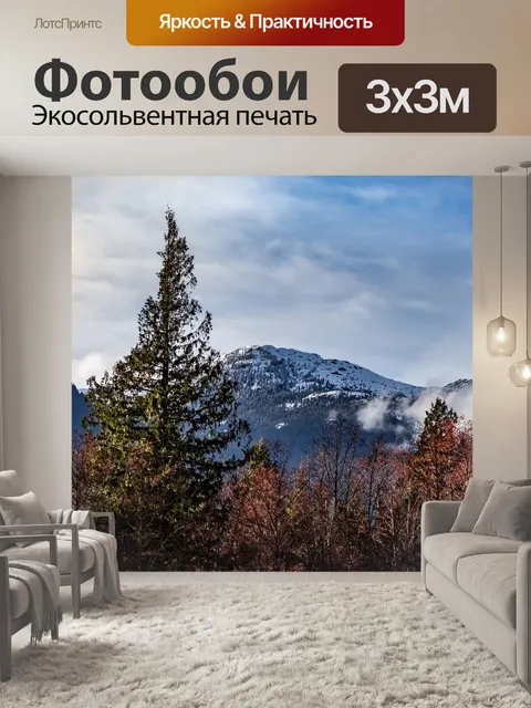Фотообои Снег
