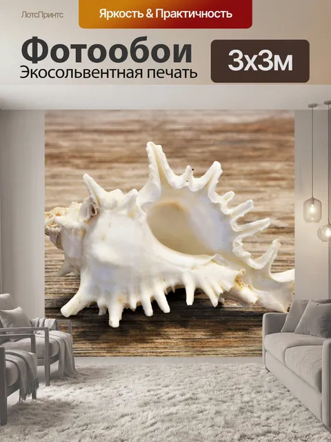 Фотообои Белые кружевные морские раковины Murex н