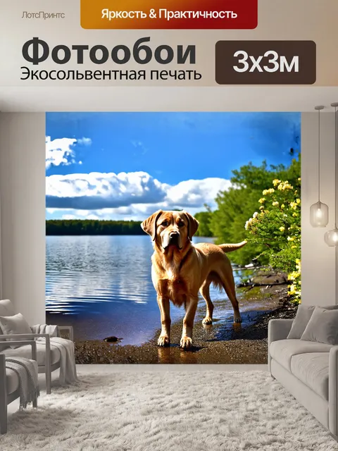 Фотообои лабрадор, стоящий на берегу спокойного озера, нежно отражает окружающий пейзаж в своих глазах