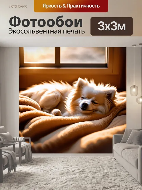 Фотообои спящий белый померанский шпиц