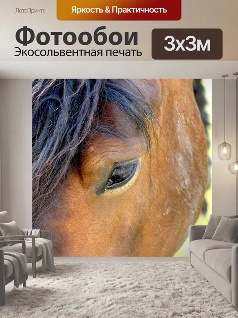 Фотообои Лошадь