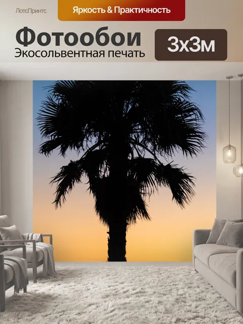 Фотообои Пальма на закате