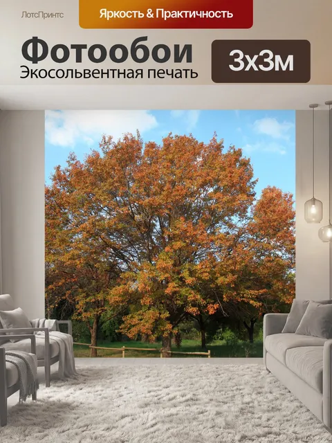 Фотообои Осенью дерево и забор