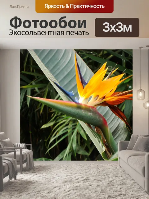 Фотообои Райская птица цветок