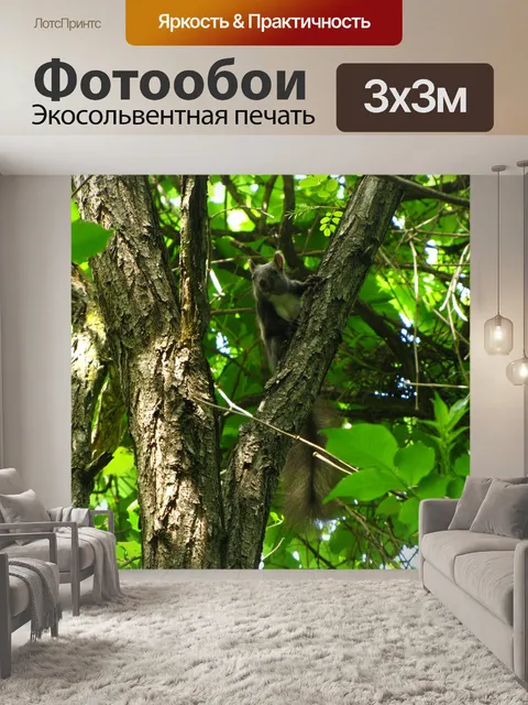 Фотообои Белка