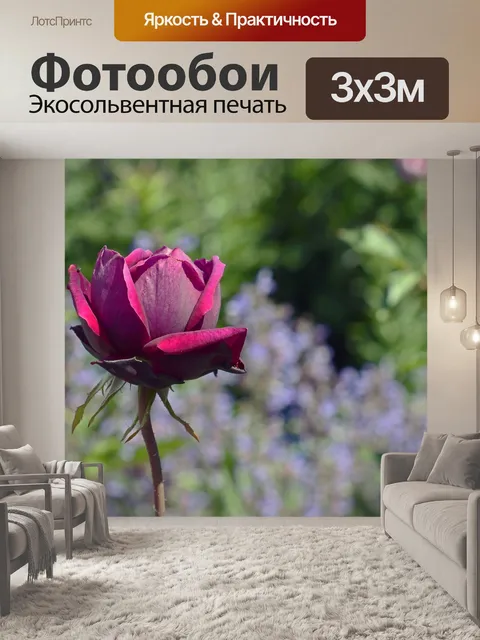 Фотообои Роза