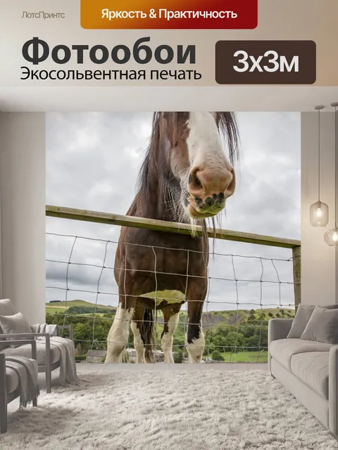 Фотообои Домашняя лошадь
