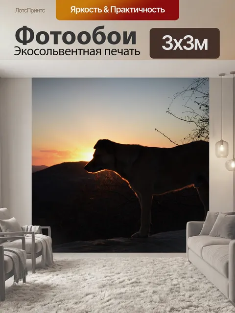 Фотообои К северо-востоку