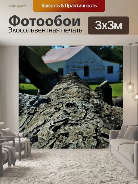 Фотообои Огромный ствол дерева упал