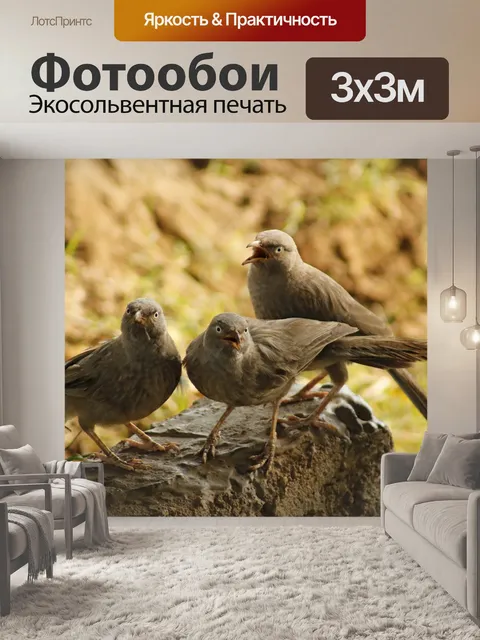 Фотообои Джунгли