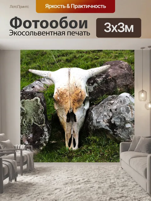 Фотообои Бык