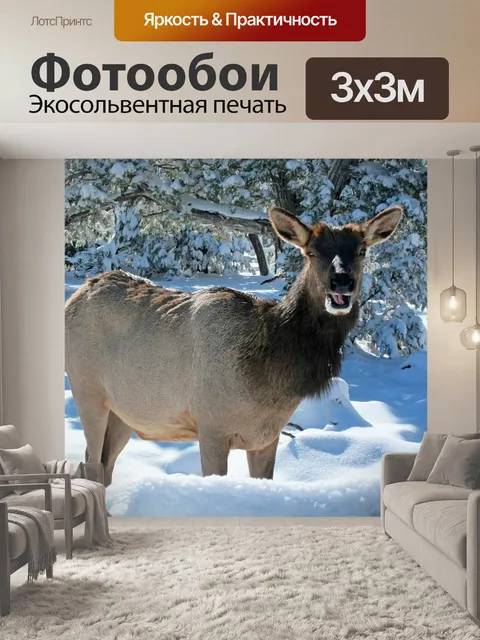 Фотообои Лось