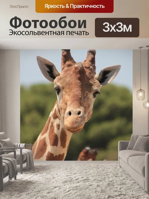 Фотообои Жирафа