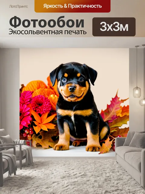 Фотообои Маленький щенок породы ротвейлер с черно-рыжей шерстью