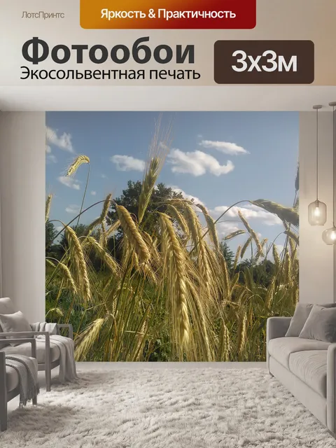 Фотообои Рожь