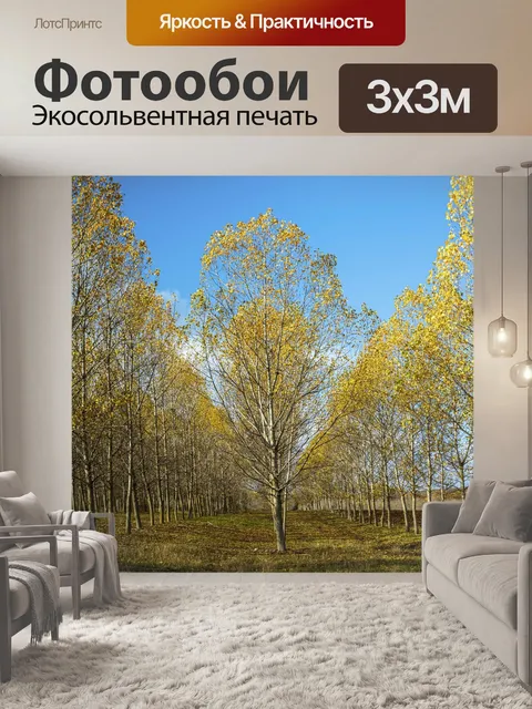 Фотообои Деревья