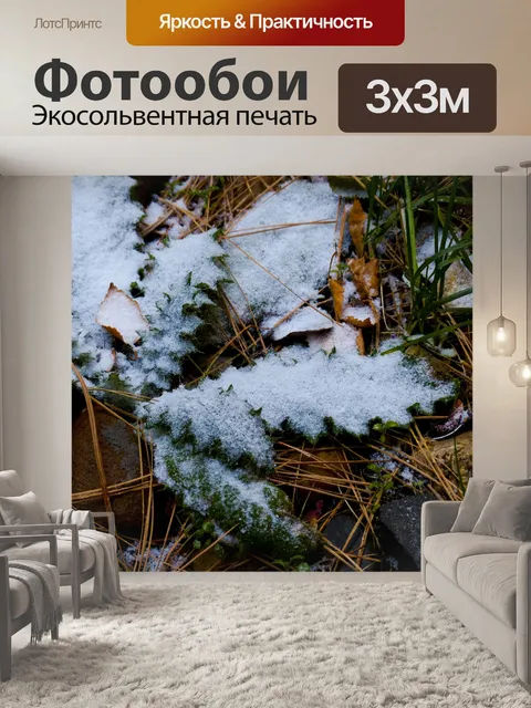 Фотообои Листья и снег