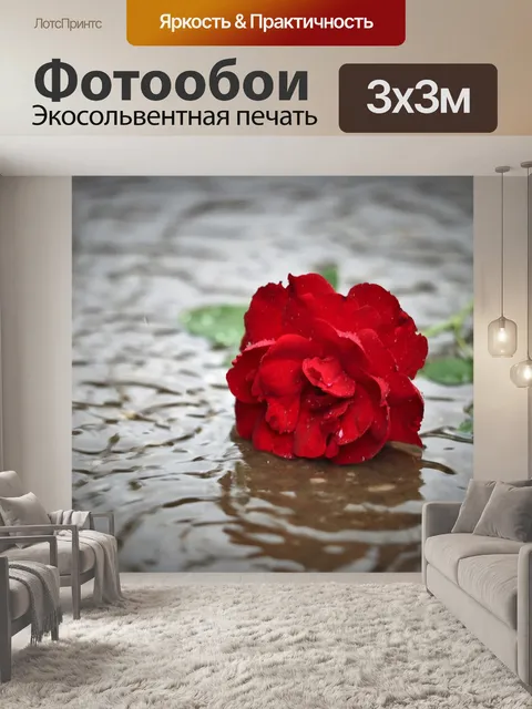 Фотообои Красная роза в дожде