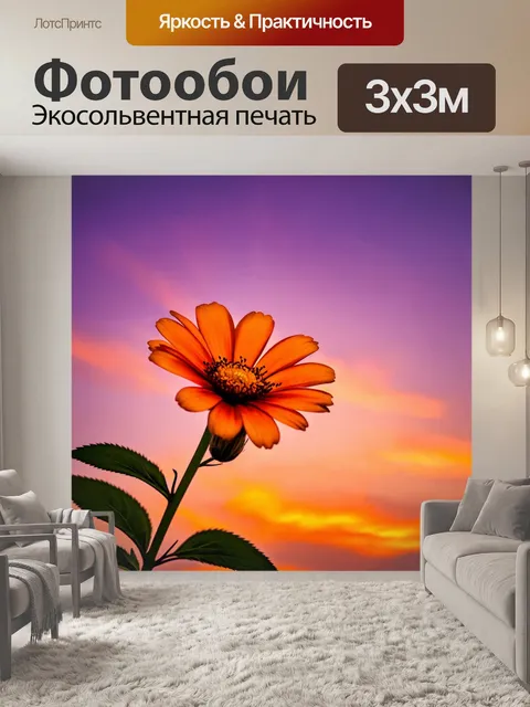 Фотообои с цветком, который распускается на фоне закатного неба, с яркими оттенками оранжевого и пурпурного