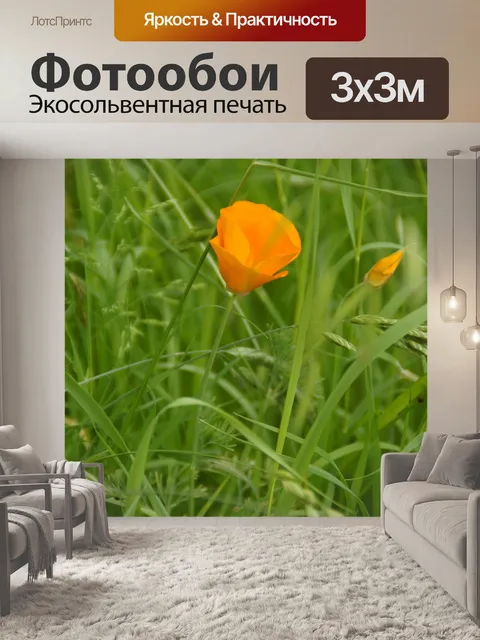 Фотообои Цвести