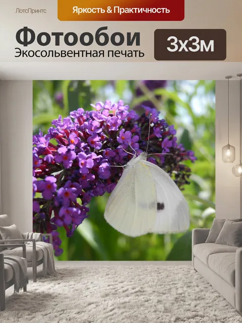 Фотообои Бабочка