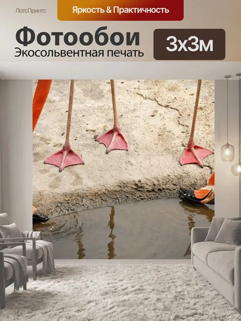 Фотообои Зоопарк