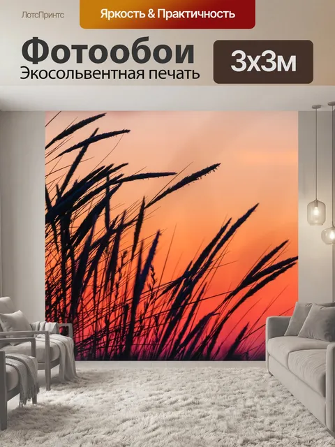 Фотообои Пляжная трава