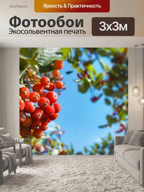 Фотообои Рябина