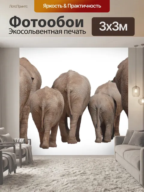 Фотообои Слон