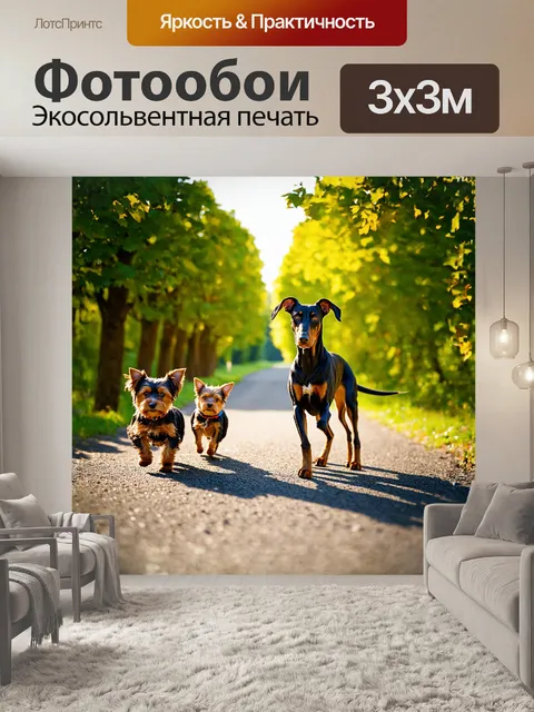 Фотообои дорога, обрамленная зелеными деревьями, простирается на горизонте, где главный герой — доберман с блестящей…