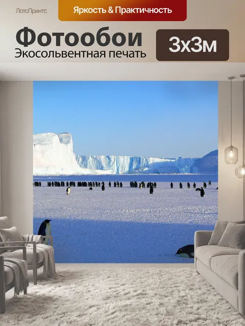 Фотообои Пингвины
