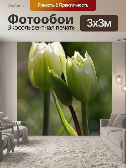 Фотообои Тюльпан