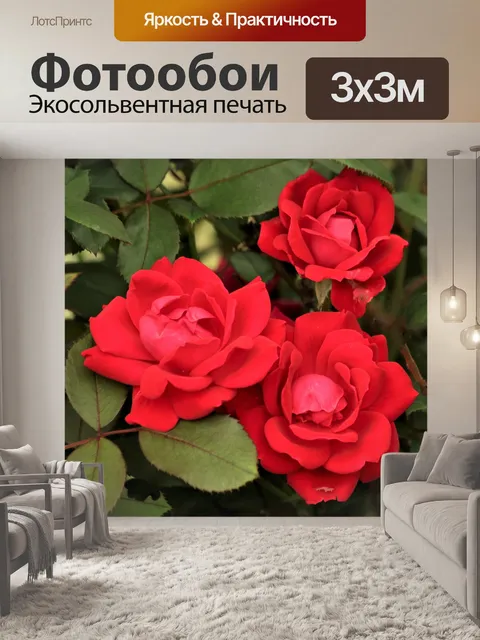 Фотообои Три красных розы крупным планом