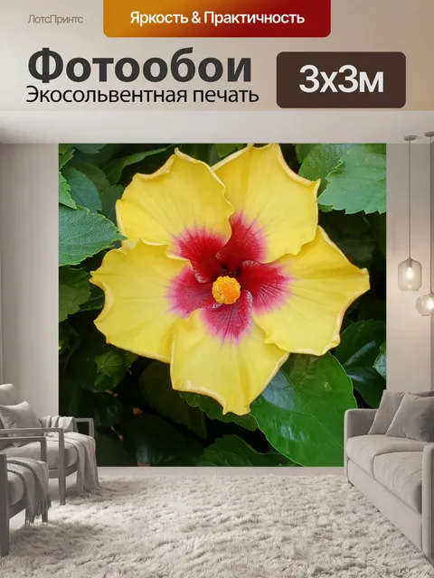 Фотообои Среднезападный экзотический