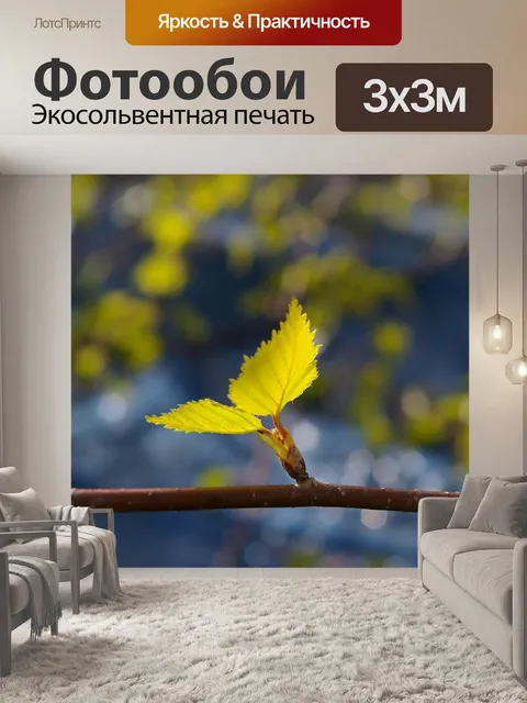 Фотообои Лист