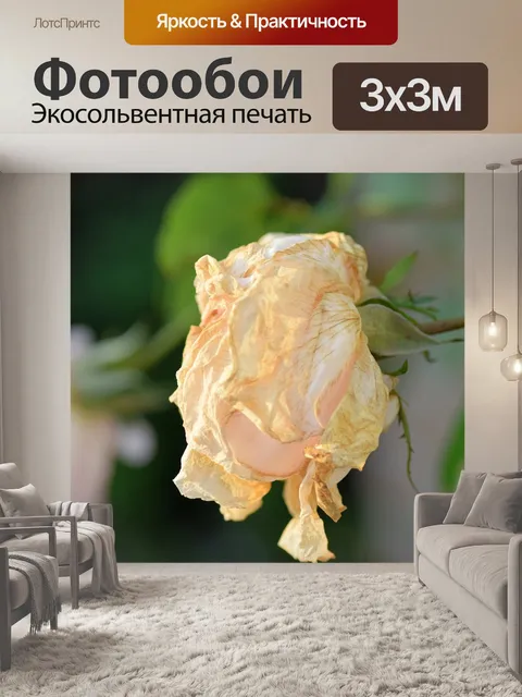 Фотообои Роуз