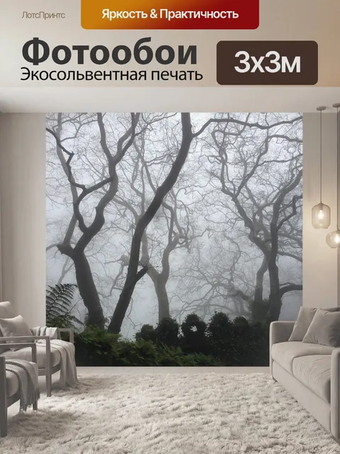 Фотообои Темный