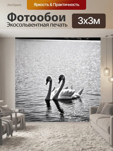 Фотообои озеро в черно-белом стиле, грациозные лебеди, плавающие в водах