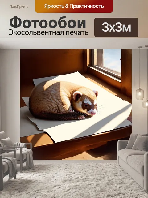 Фотообои хорек, свернувшись калачиком на белом листе бумаги, убаюкивается на мягком фоне