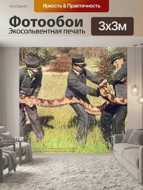Фотообои Питон в Нью-Йорке