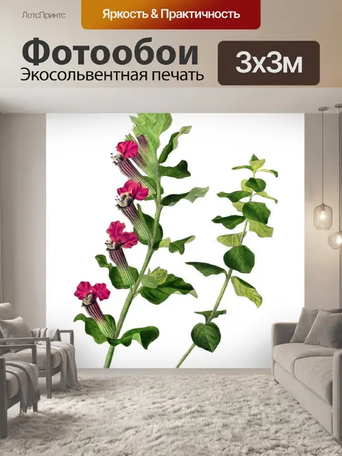 Фотообои Клипарт Flowers art vintage