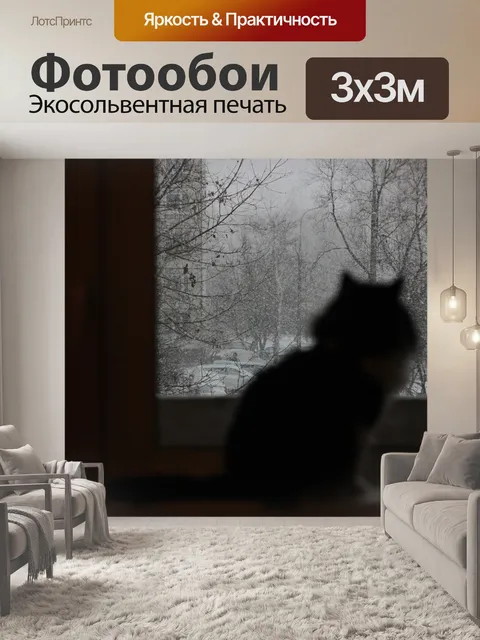 Фотообои Кот