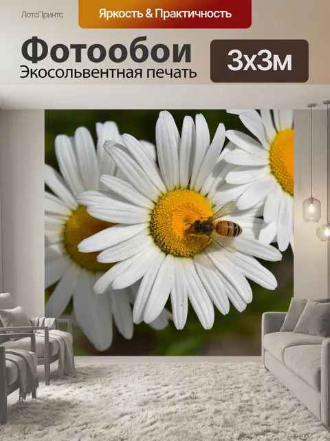 Фотообои Пчела