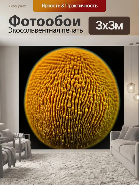 Фотообои грибы плесневые, снятые с близкого расстояния, под светом микроскопа, показывающие сложные структуры и споры