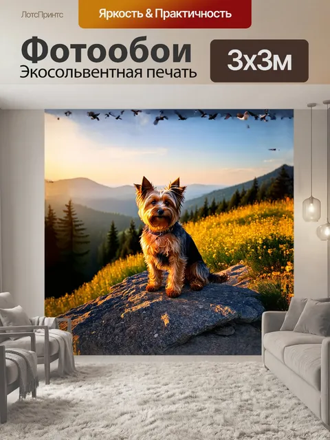 Фотообои керн терьер, сидящий на каменистом склоне горы, освещённый последними лучами заката, его шерсть переливается…